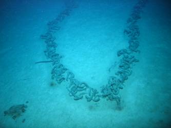 Chain cable from bow section on seabed